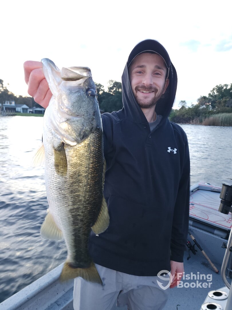 Orlando Report Photo 0