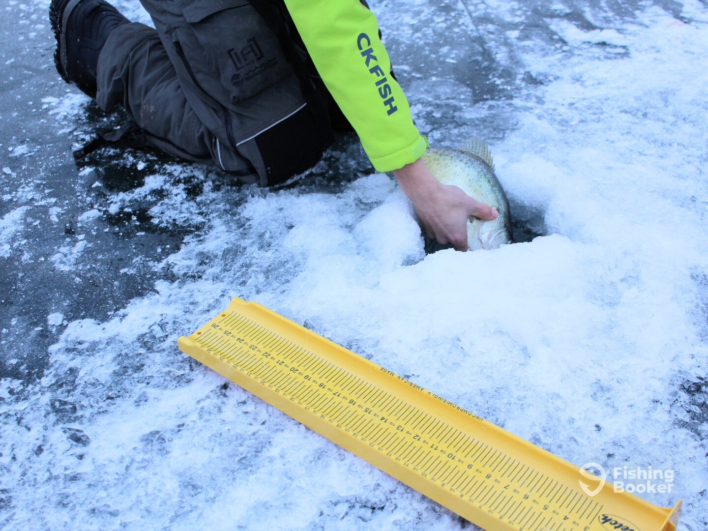 Slab crappies in minnesota