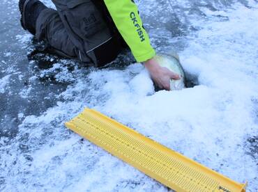 Guided crappie trips in Minnesota