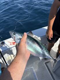 Pacific Coast Report Photo 3