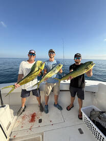 Miami-Dade County Report Photo 2