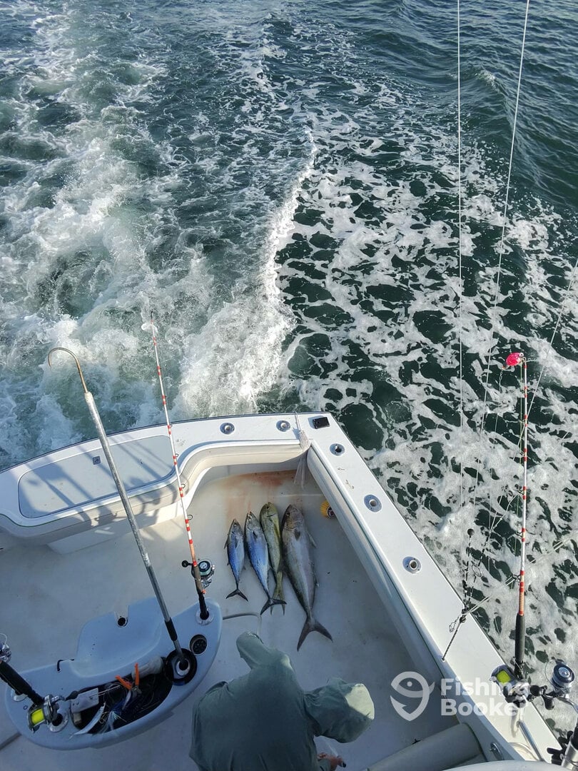 Fort Lauderdale Report Photo 0