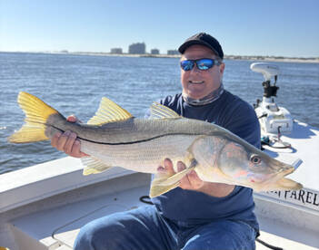 Port Orange Report Photo 1