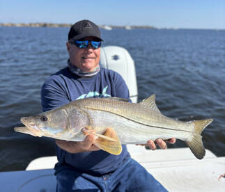 Big Redfish and Snook are Chewing