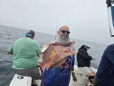 St. Petersburg Report Photo 2