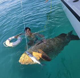 St. Petersburg Report Photo 1