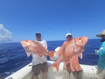 St. Petersburg Report Photo 1