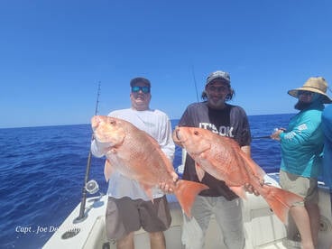 Tampa Bay Report Photo 2