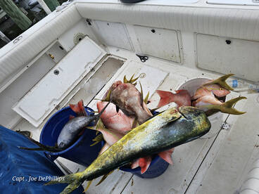 Tampa Bay Report Photo 1