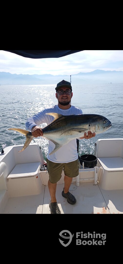 Nuevo Vallarta Report Photo 0