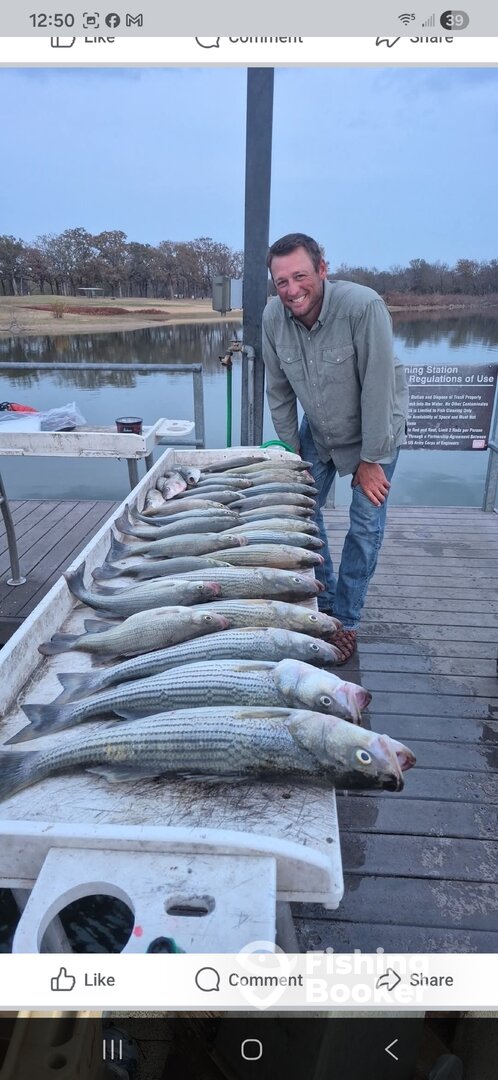 Kingston Report Photo 0