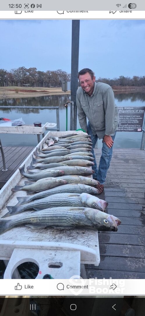 Kingston Report Photo 0