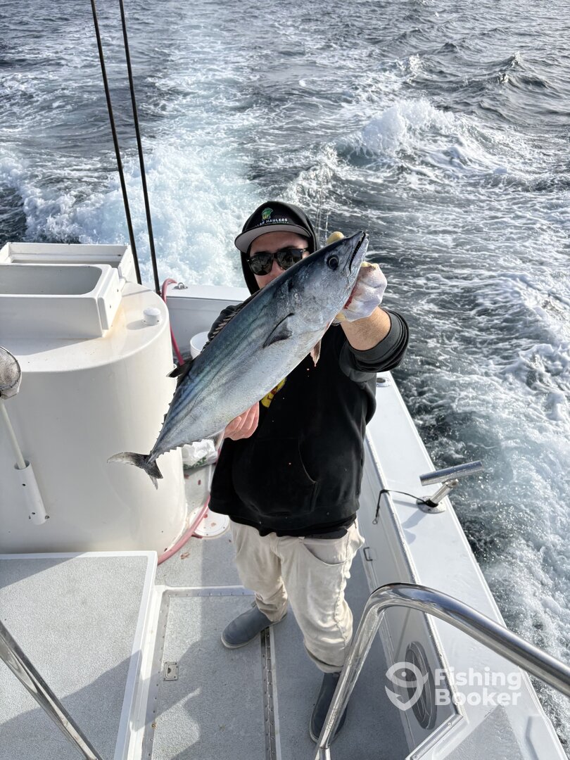 Pacific Coast Report Photo 0