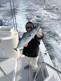 coastal bonito continue to chew!