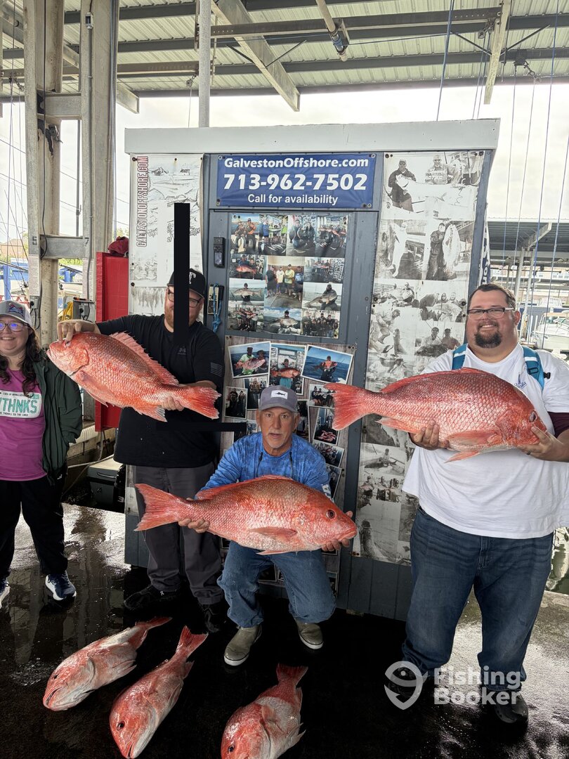 Galveston Report Photo 0