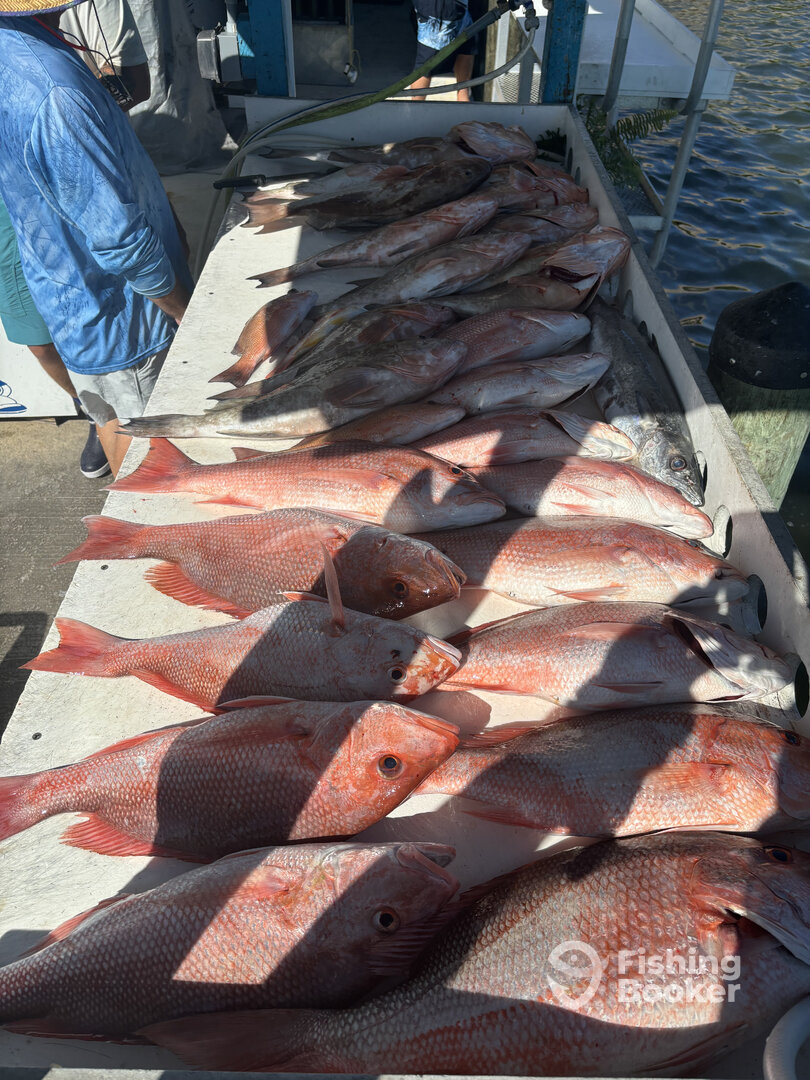 Englewood Report Photo 0