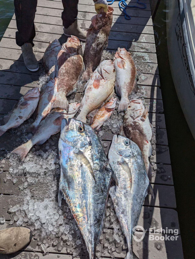 Manasota Key Report Photo 0