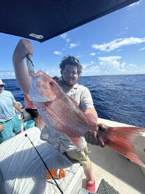 Manasota Key Report Photo 3