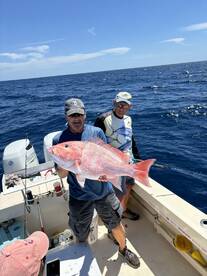 Englewood Report Photo 1