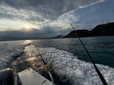 Lot of Skipjacks and 1 Sailfish gone