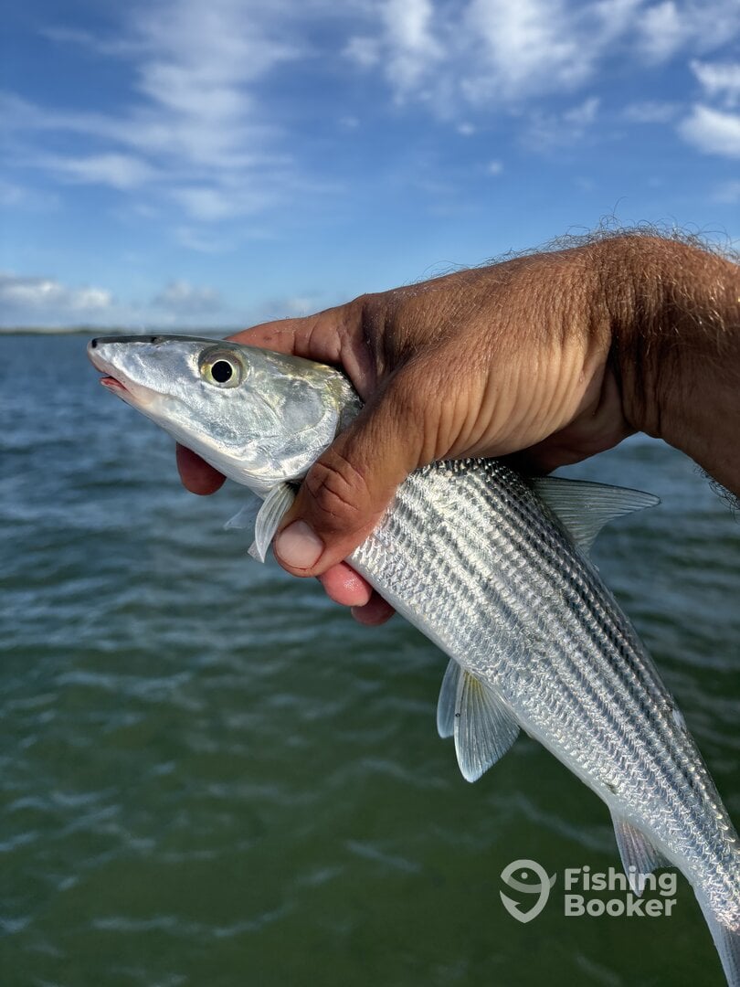 Indian River Report Photo 0