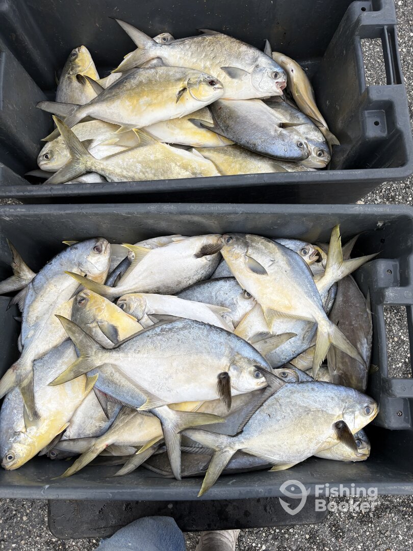 Port Canaveral Report Photo 0