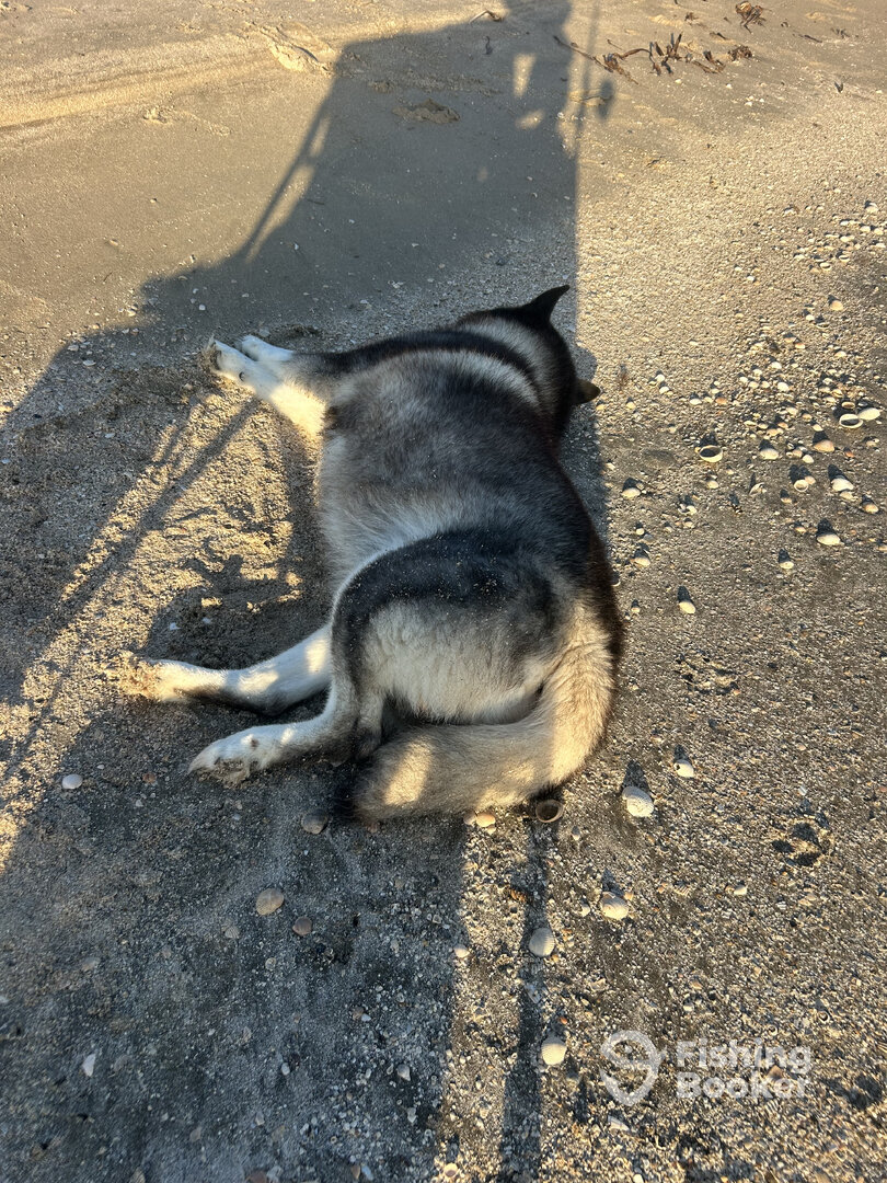 Calcasieu Lake Report Photo 0