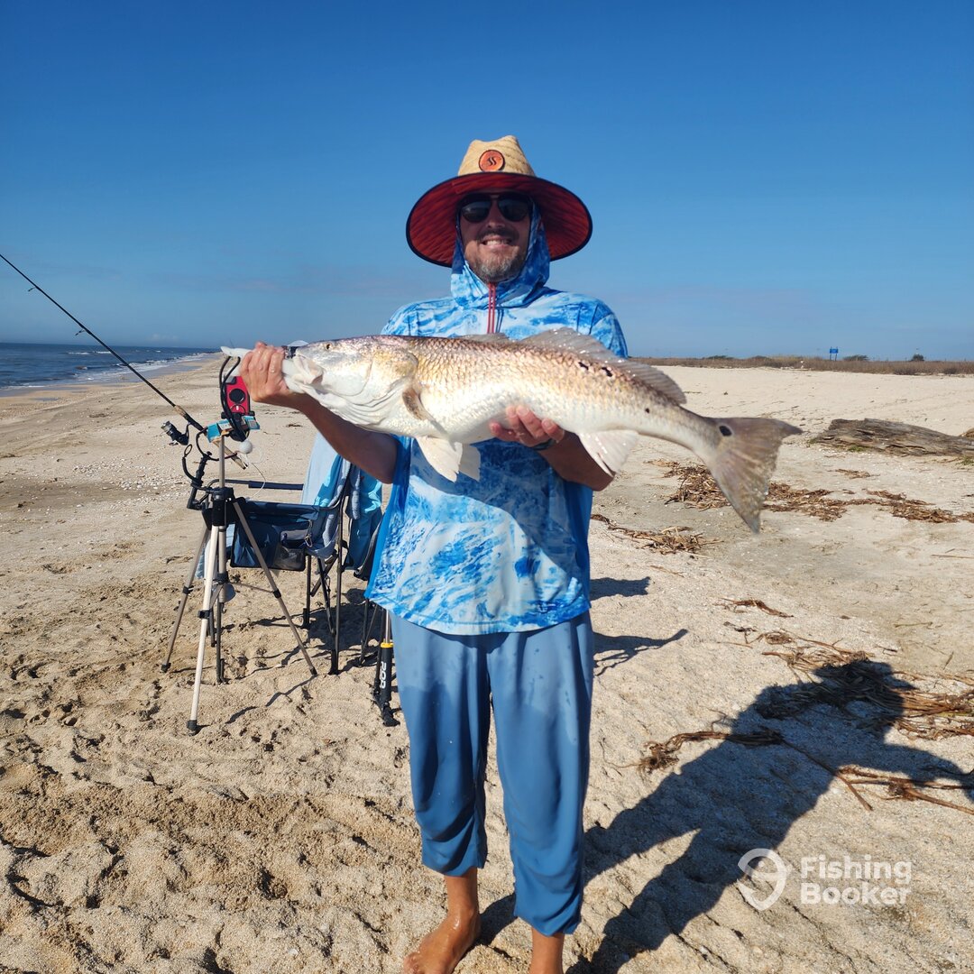 Creole Report Photo 0