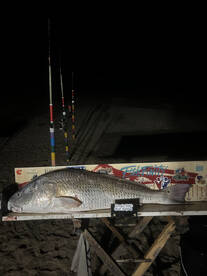 Creole Report Photo 2