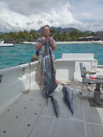 Two billfishes on Billfish