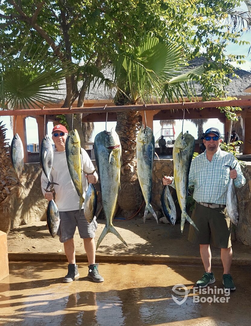 San Jose del Cabo Report Photo 0