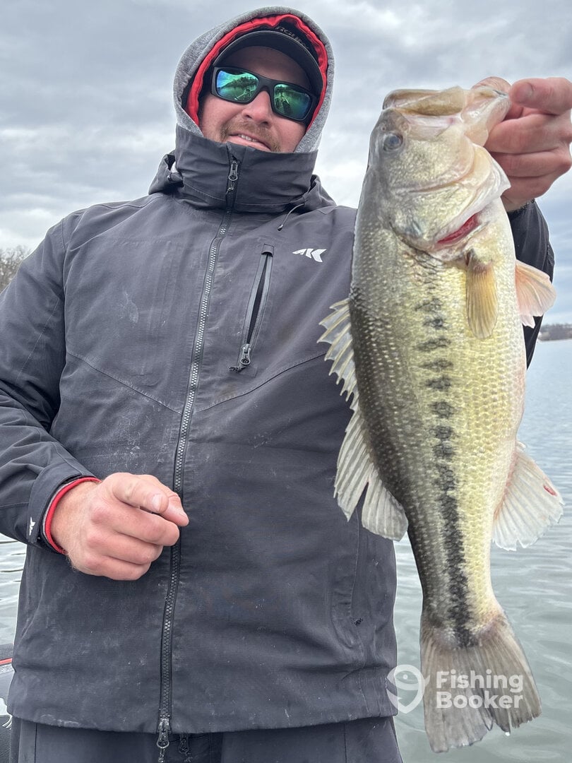 Branson Report Photo 0