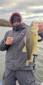 Carroll County Report Photo 3