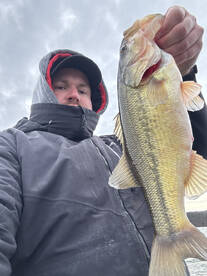 Branson Report Photo 1