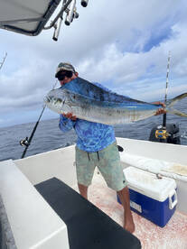 Herradura Report Photo 2