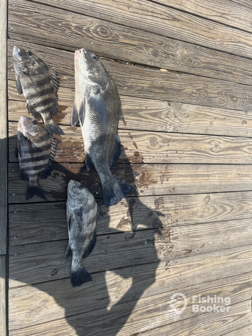 Edgewater Report Photo 0