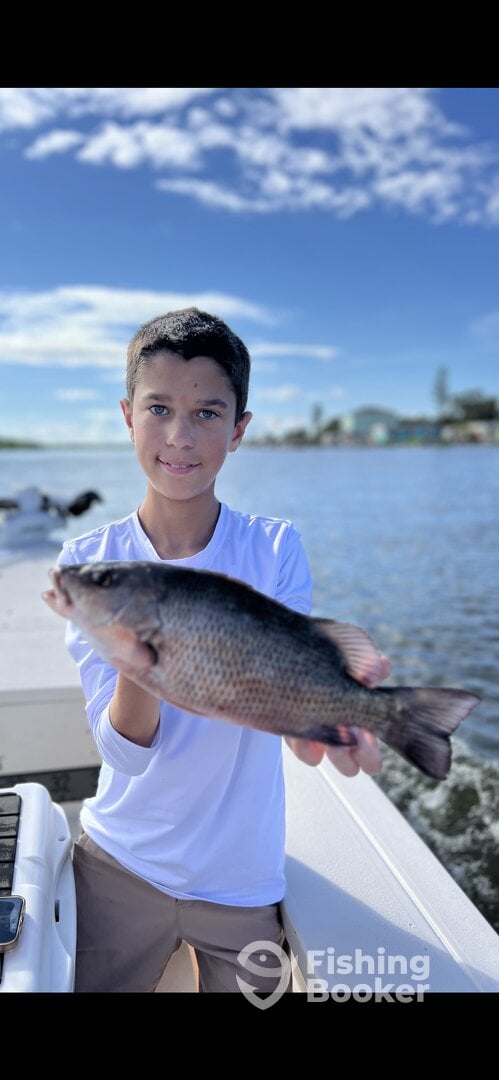 Volusia County Report Photo 0