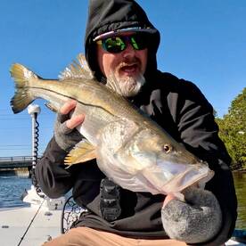 Tampa Bay Report Photo 1