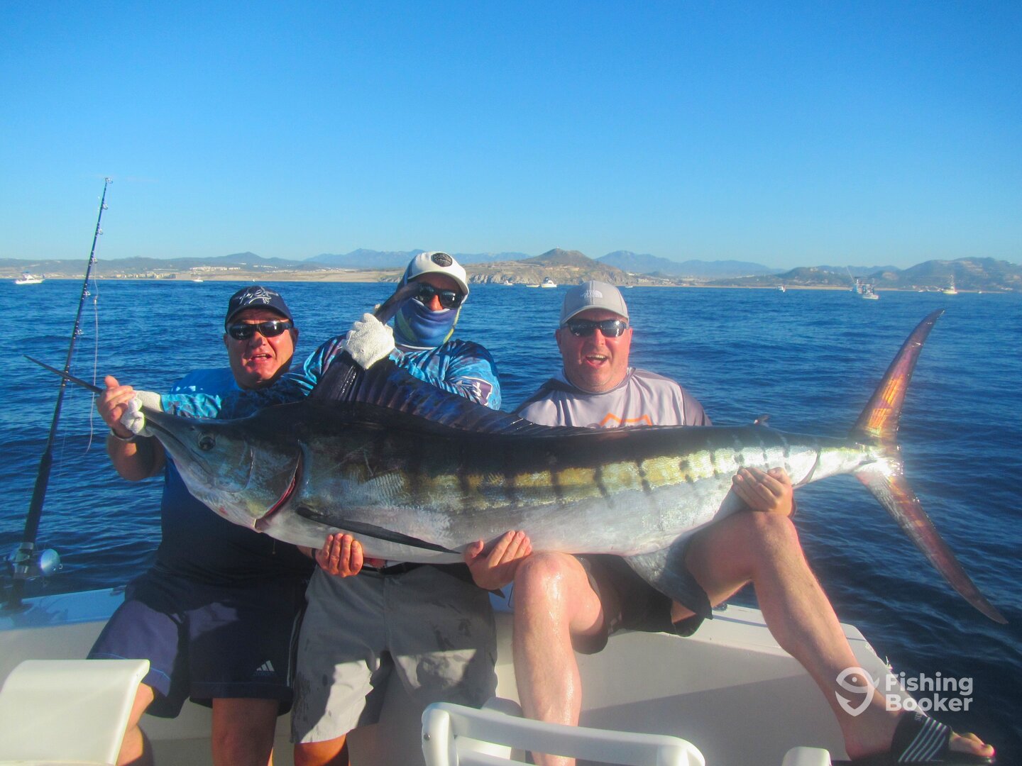 Cabo San Lucas Report Photo 0