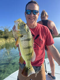 Toa Alta Report Photo 2