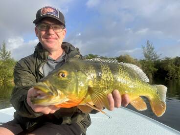 Peacock bass Tours