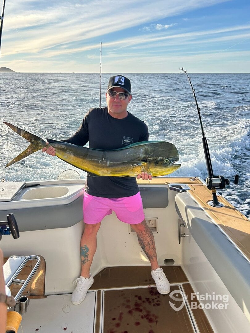 Cabo San Lucas Report Photo 0