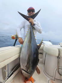 Yellowfin tunas!