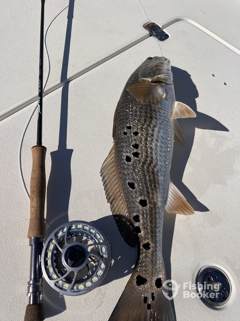 Santa Rosa Beach Report Photo 0