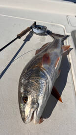 Santa Rosa Beach Report Photo 2