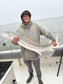 Bay Area Report Photo 1