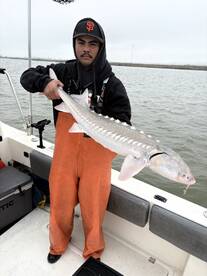 California Report Photo 1