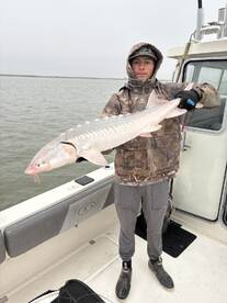 California Report Photo 2