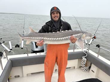 Sturgeon and Stripers biting!