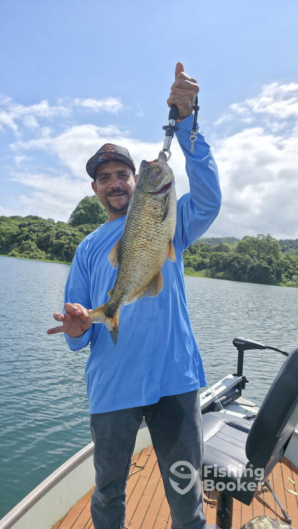 Alajuela Report Photo 0